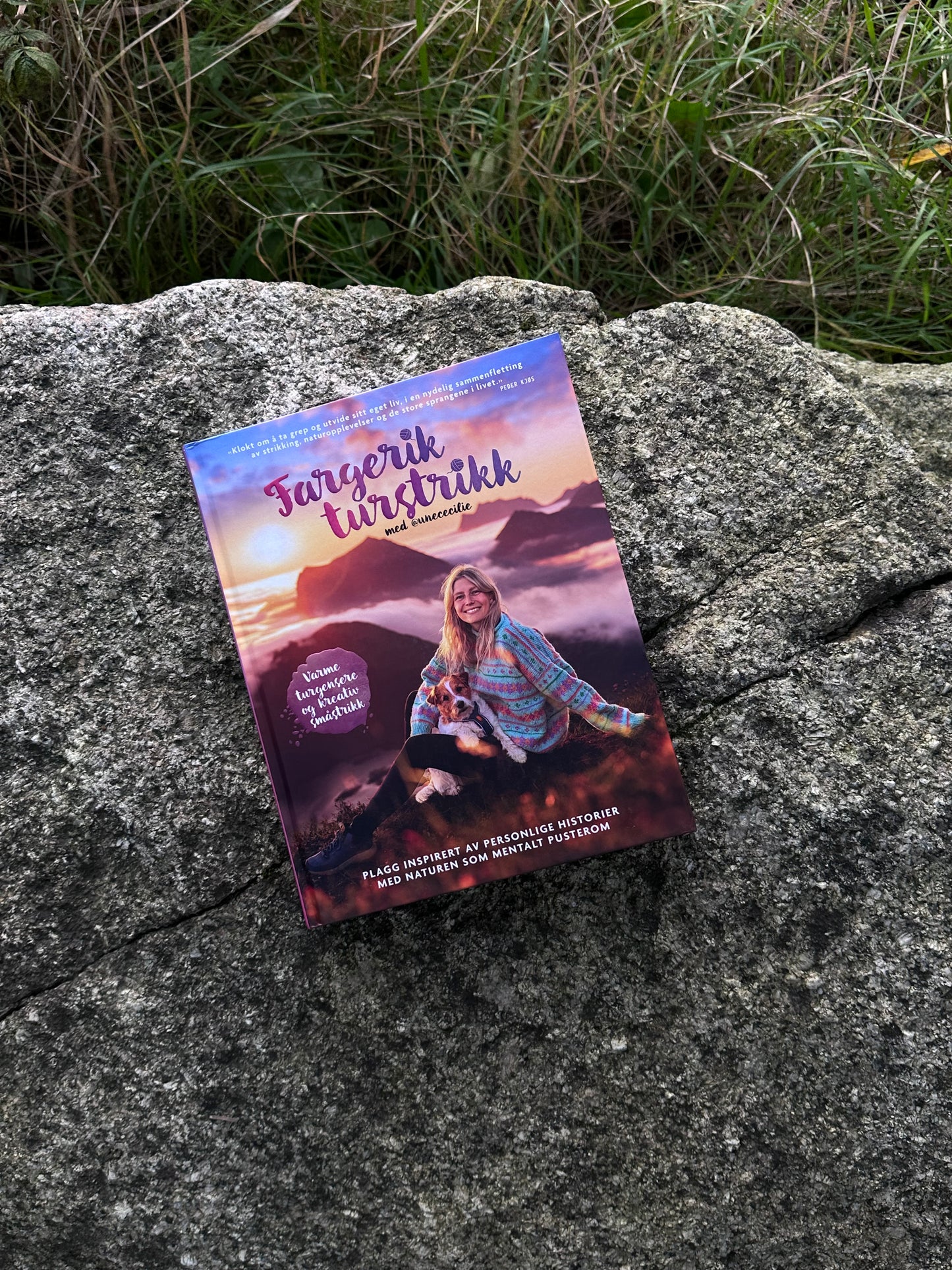 fargerik turstrikk - by une cecilie oksvold