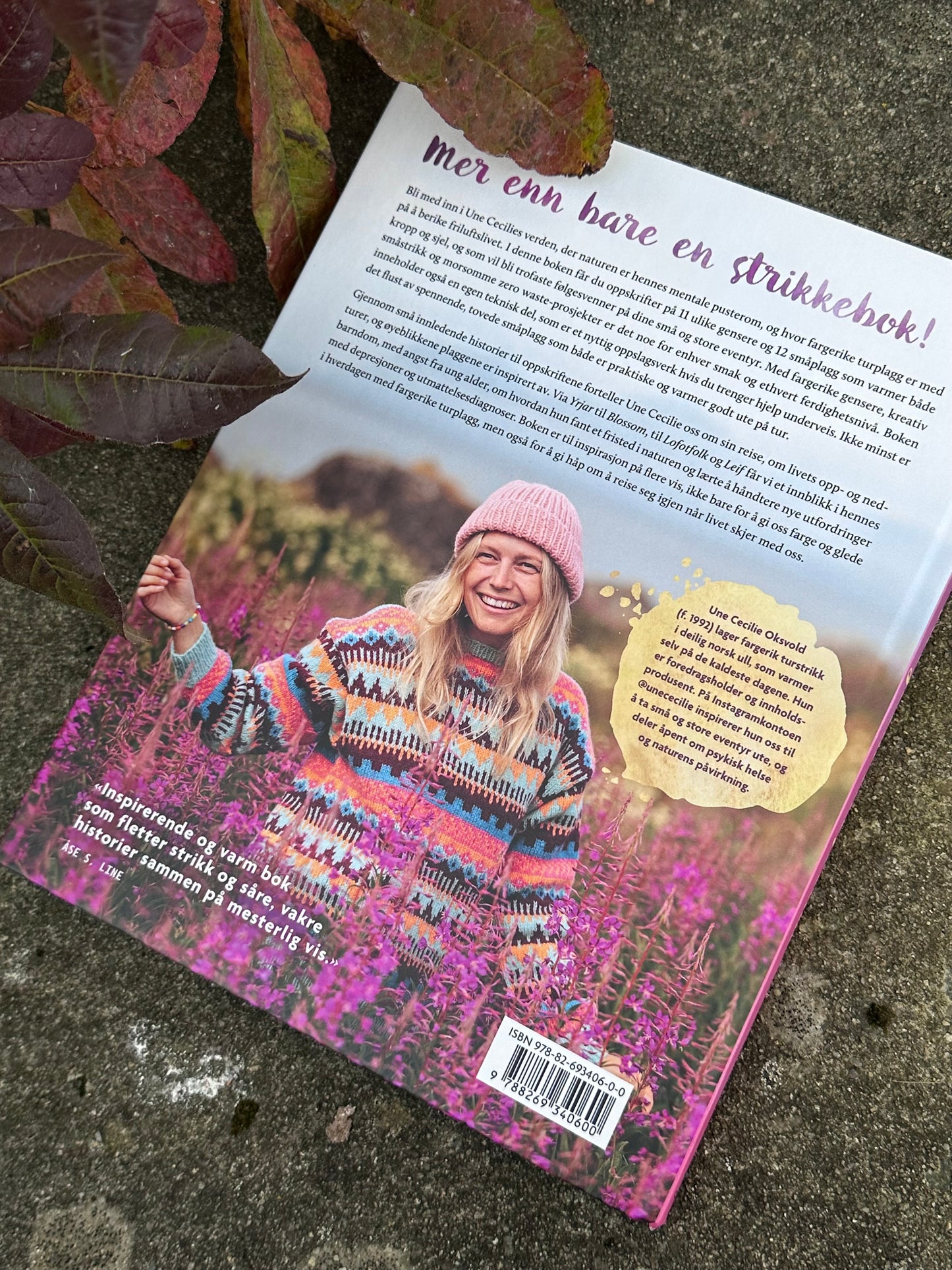 fargerik turstrikk - by une cecilie oksvold