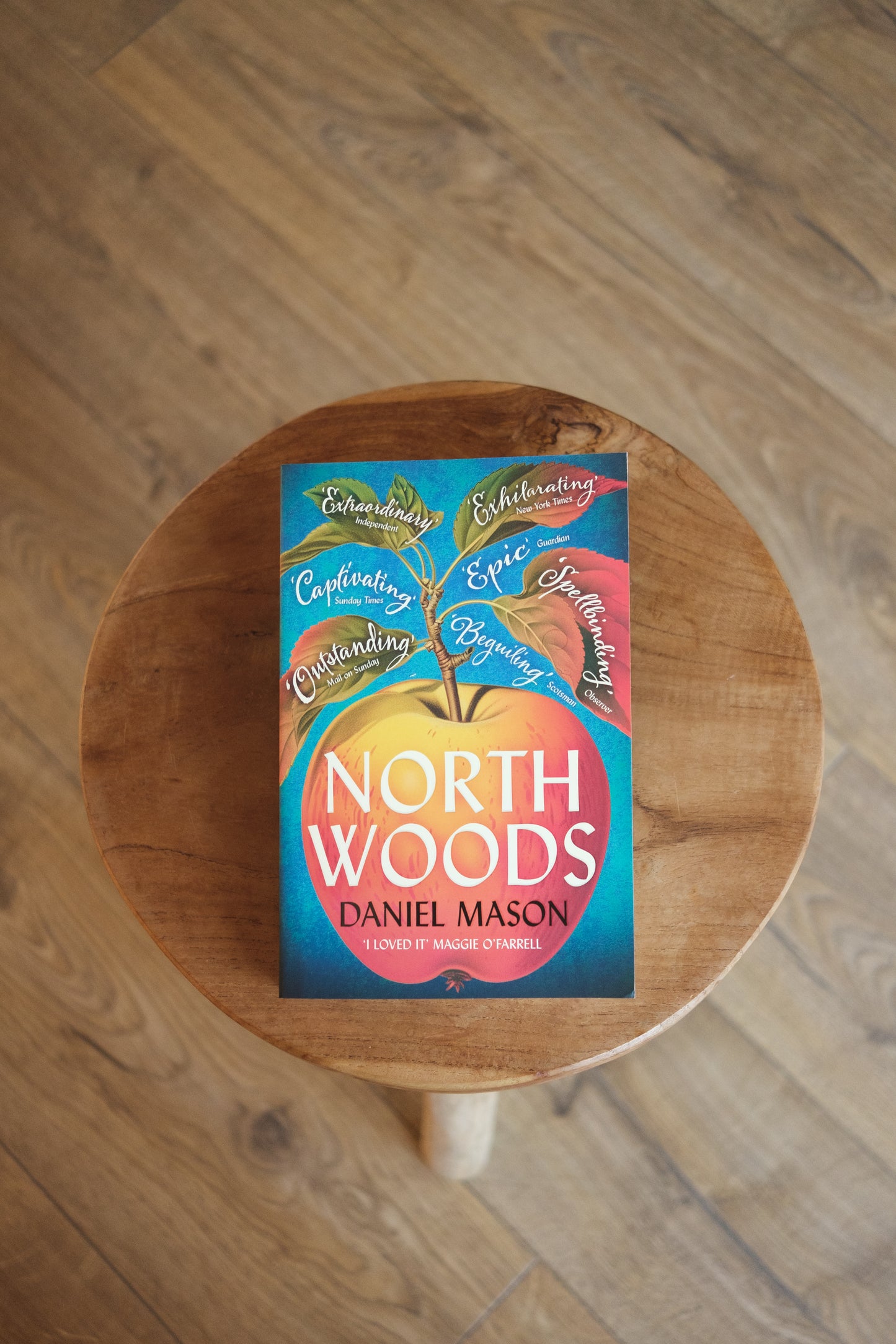 north woods - by daniel mason