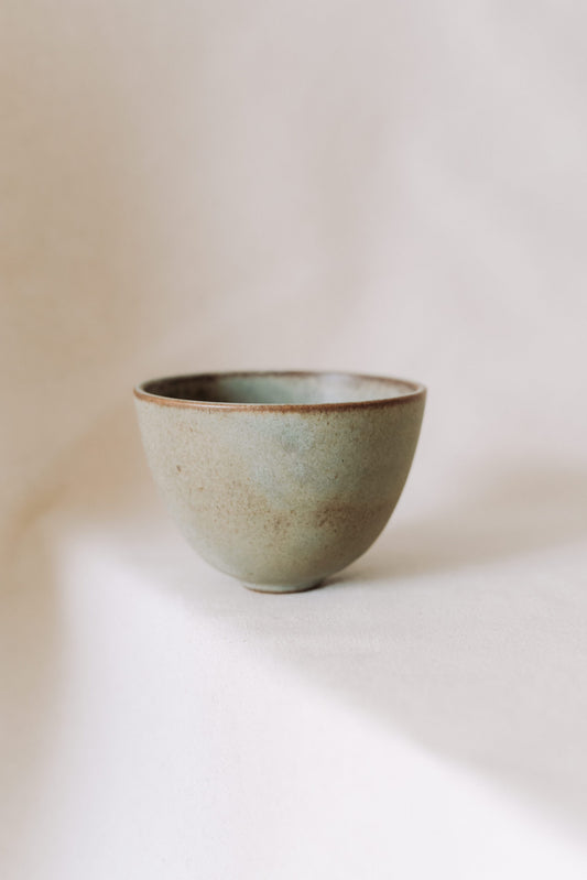 wa rice bowl