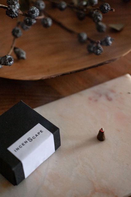 incenscape set of ten incense cones - peruvian black copal