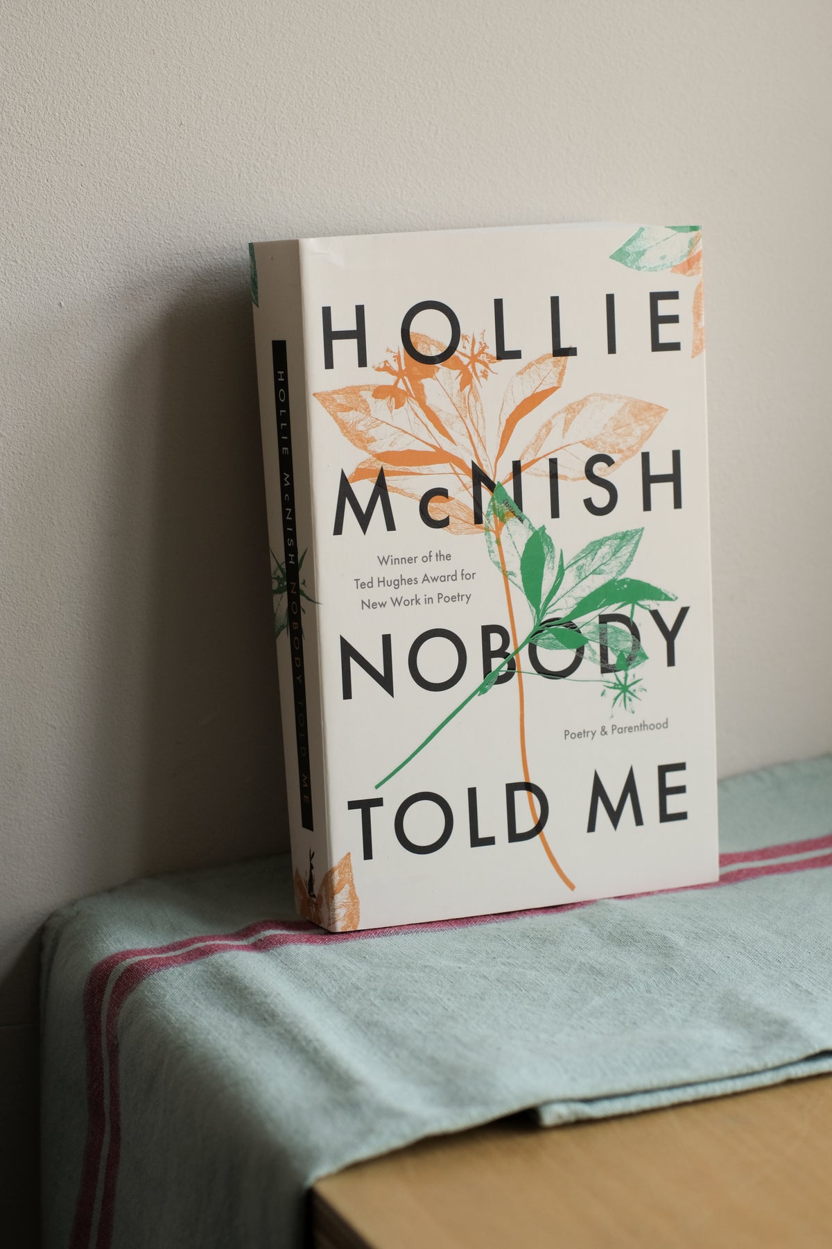 nobody told me: poetry and parenthood - by hollie mcnish