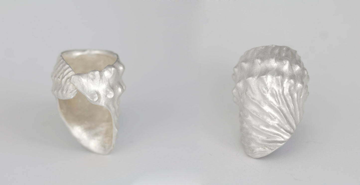 fragments of king nautilus silver ring