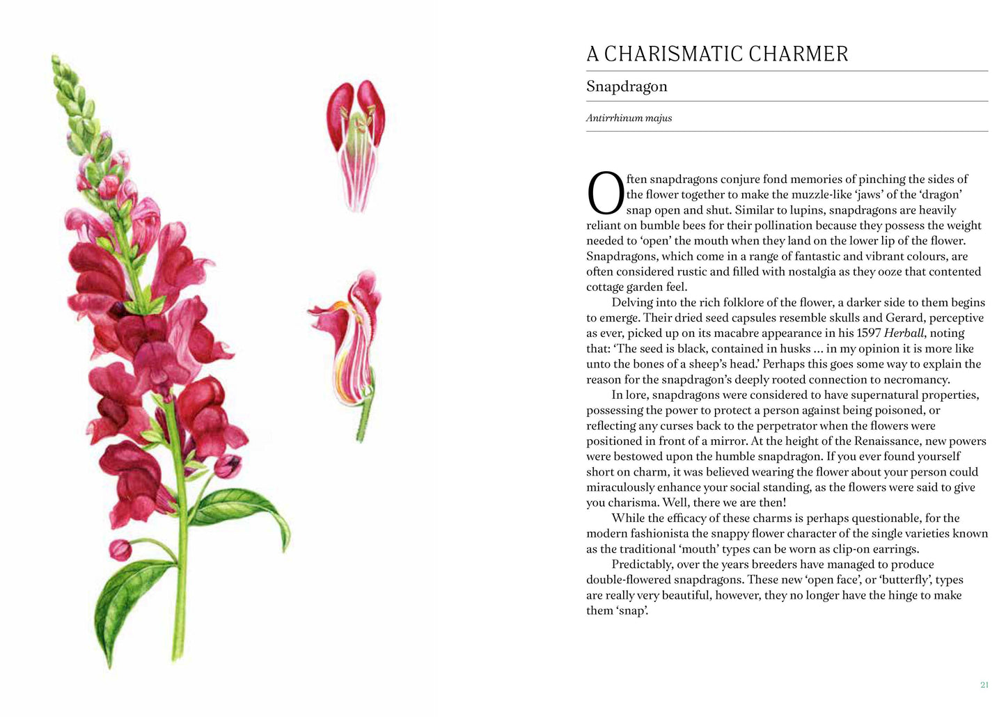 a short history of flowers - by advolly richmond
