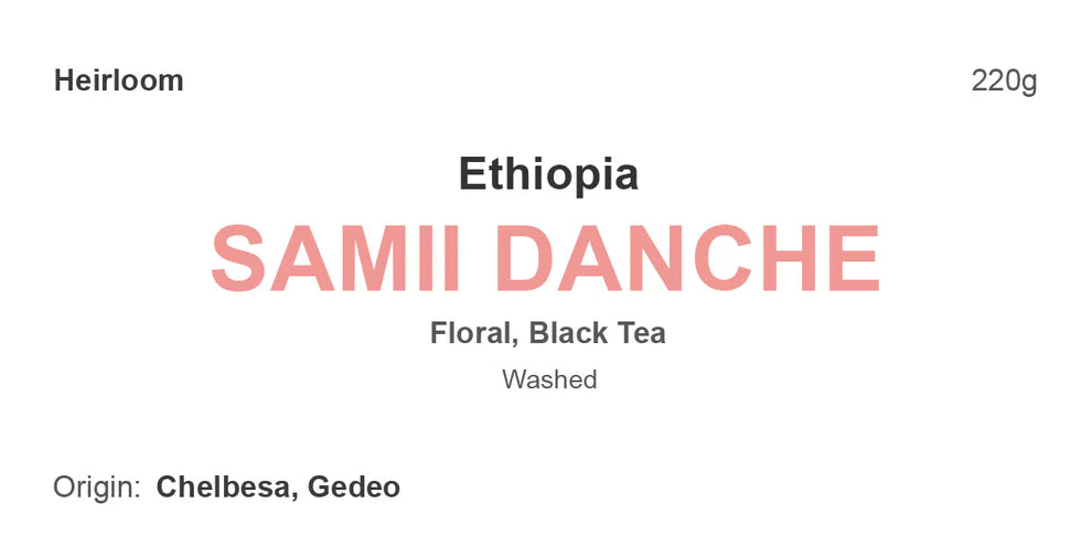 samii danche - ethiopia - washed