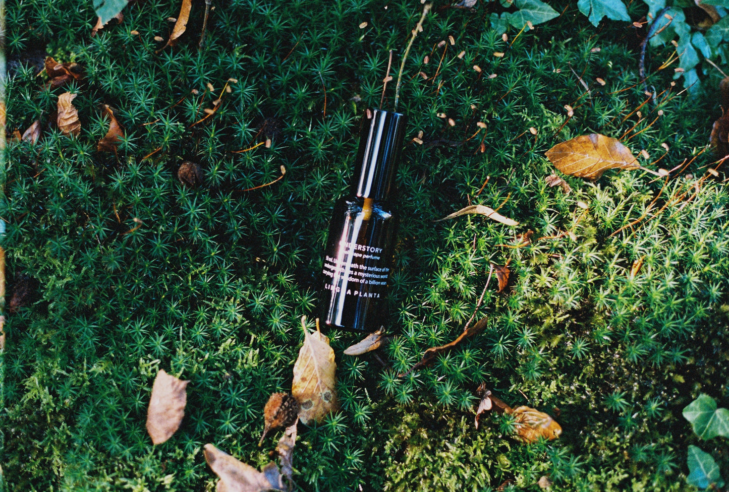 understory natural perfume