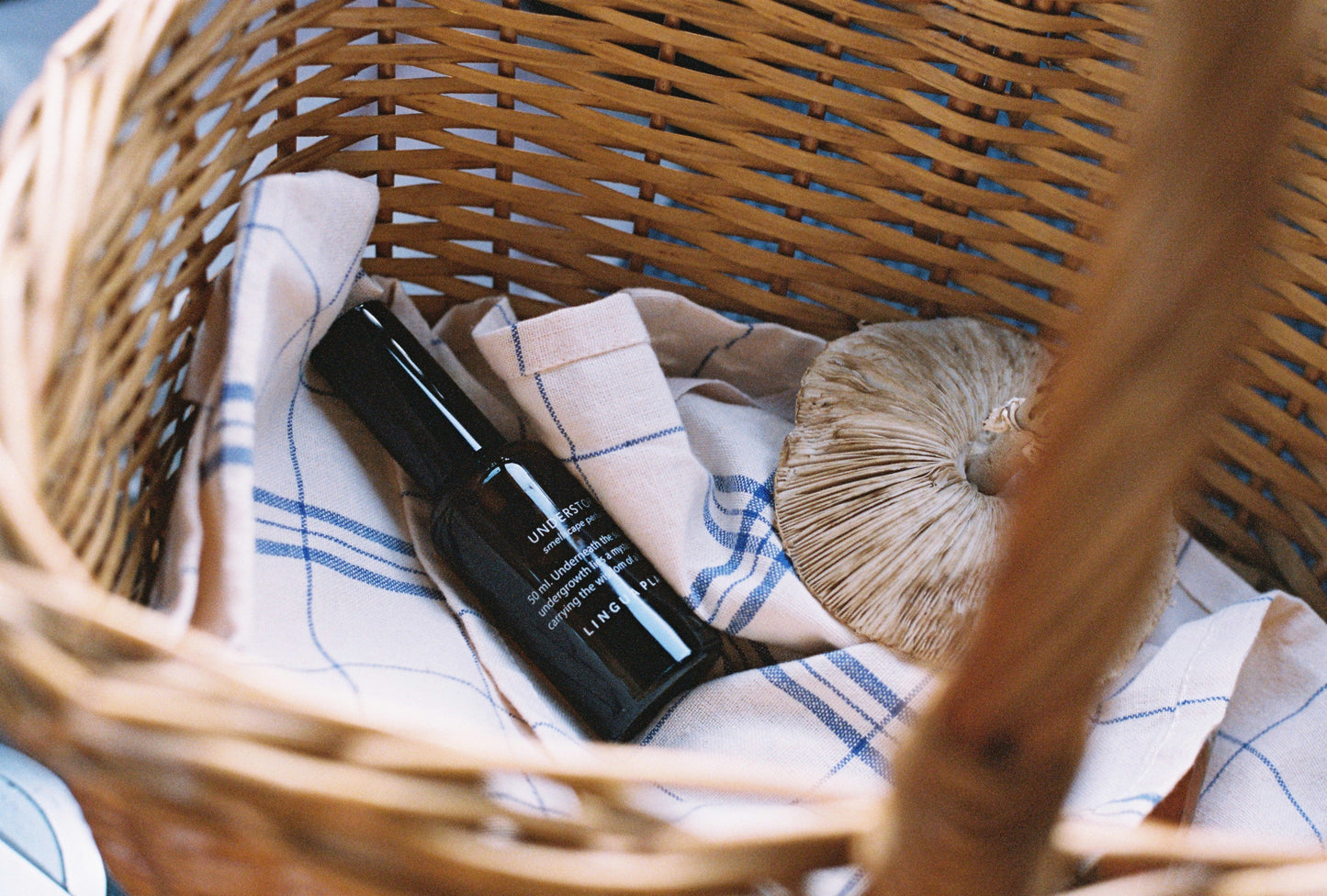 understory natural perfume