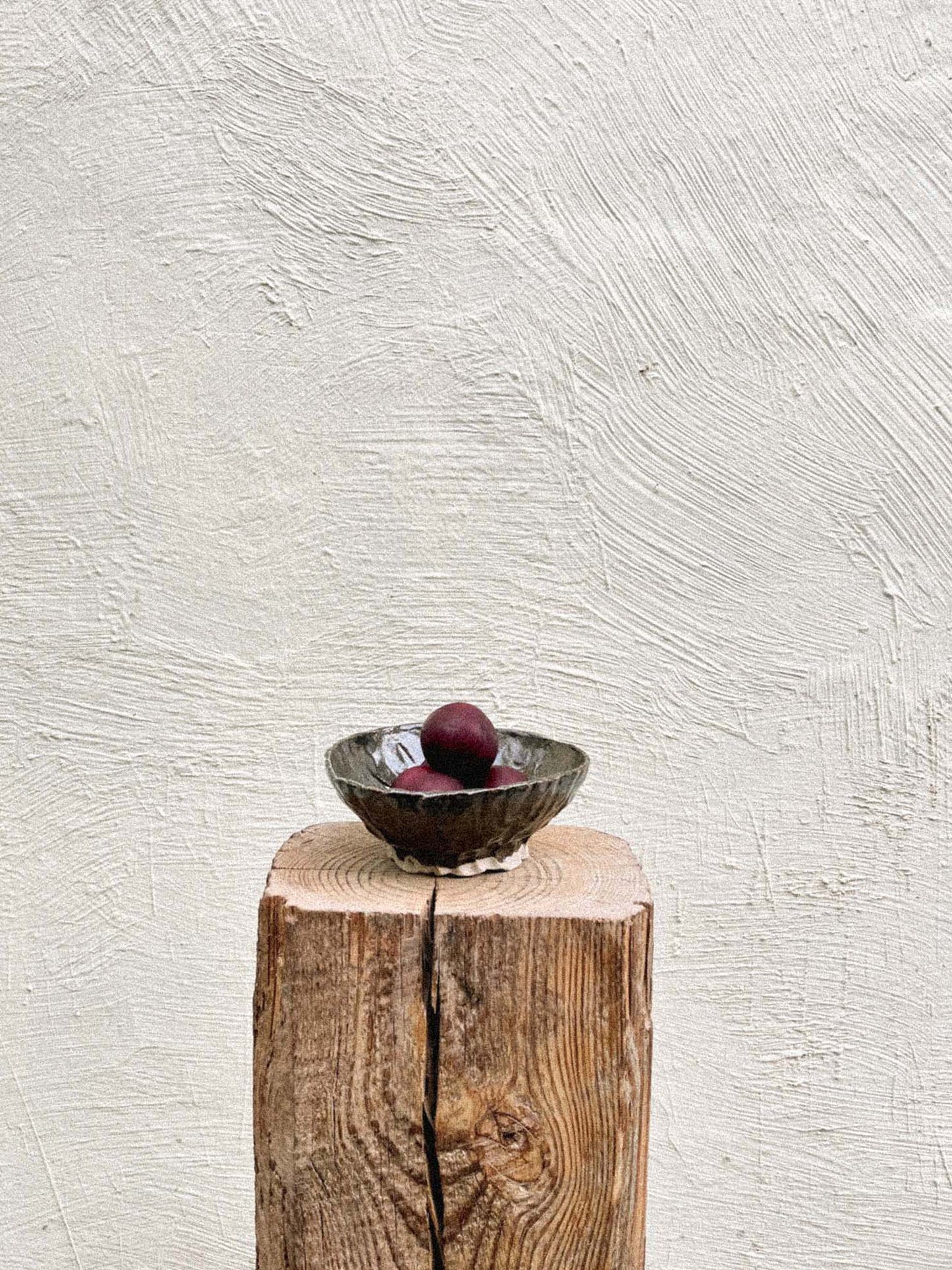 bolet medium bowl