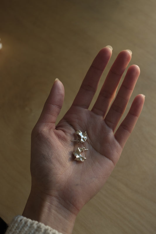 fragments of flinders silver earrings