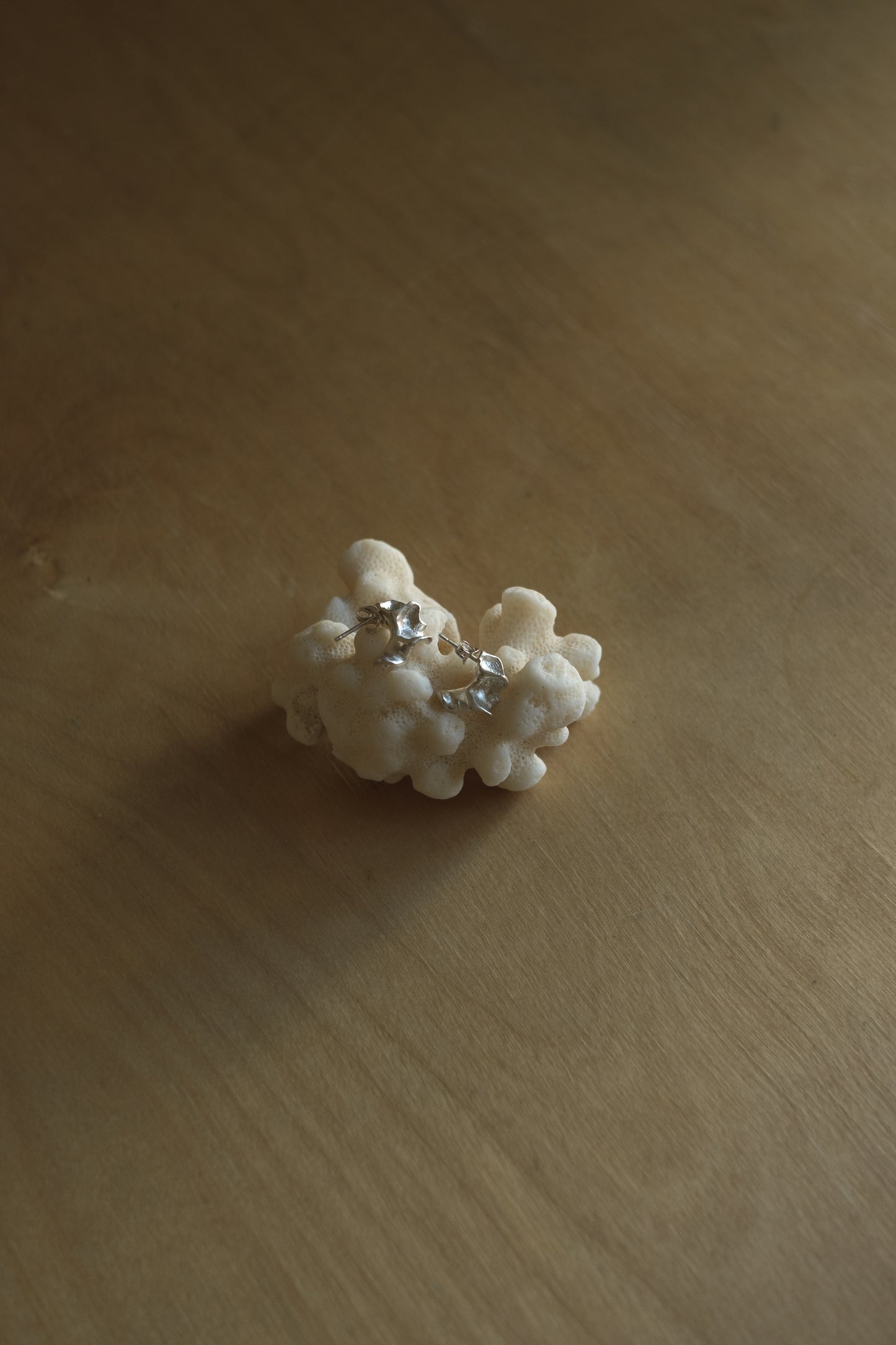 fragments of flinders silver earrings