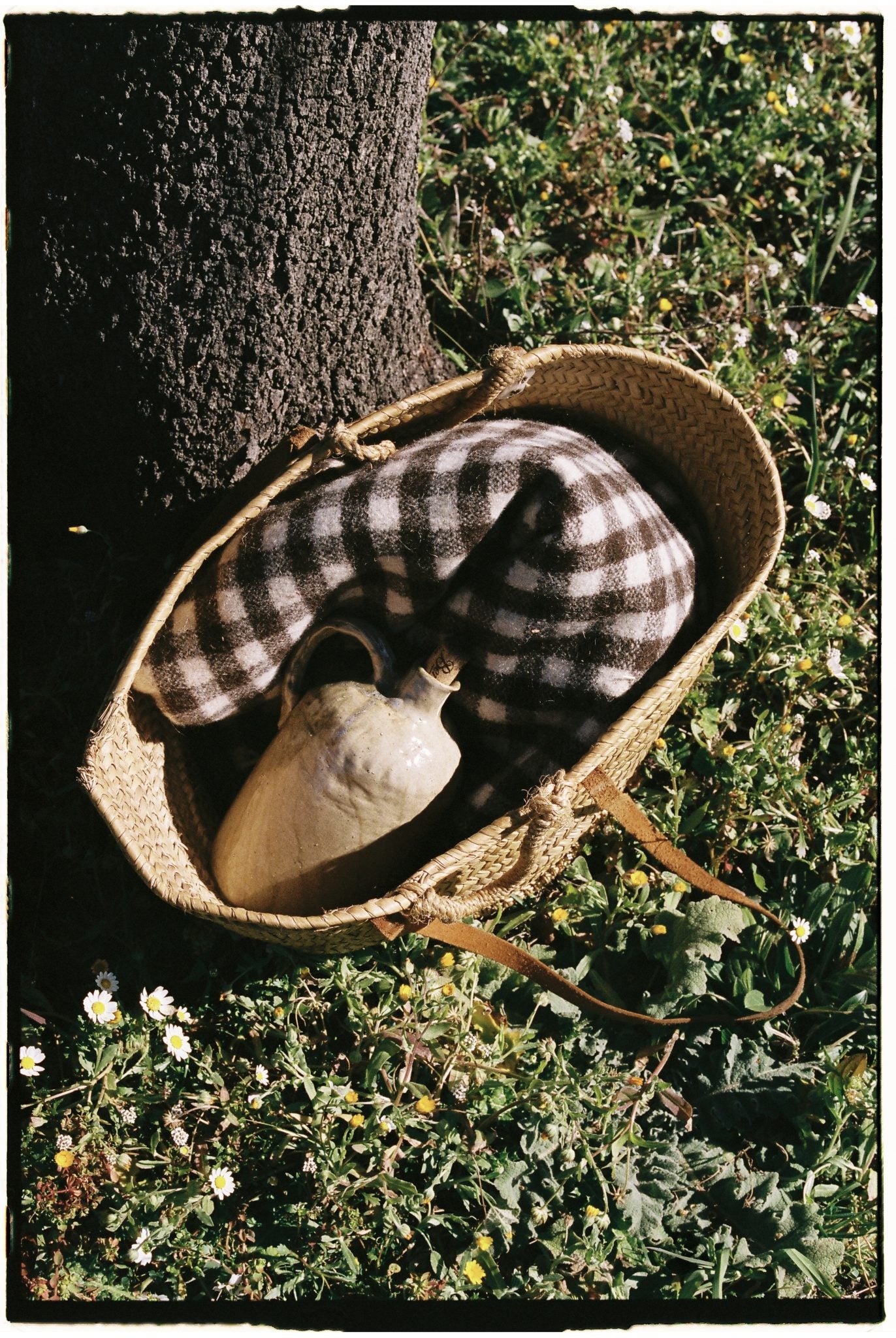 pitxer pitcher
