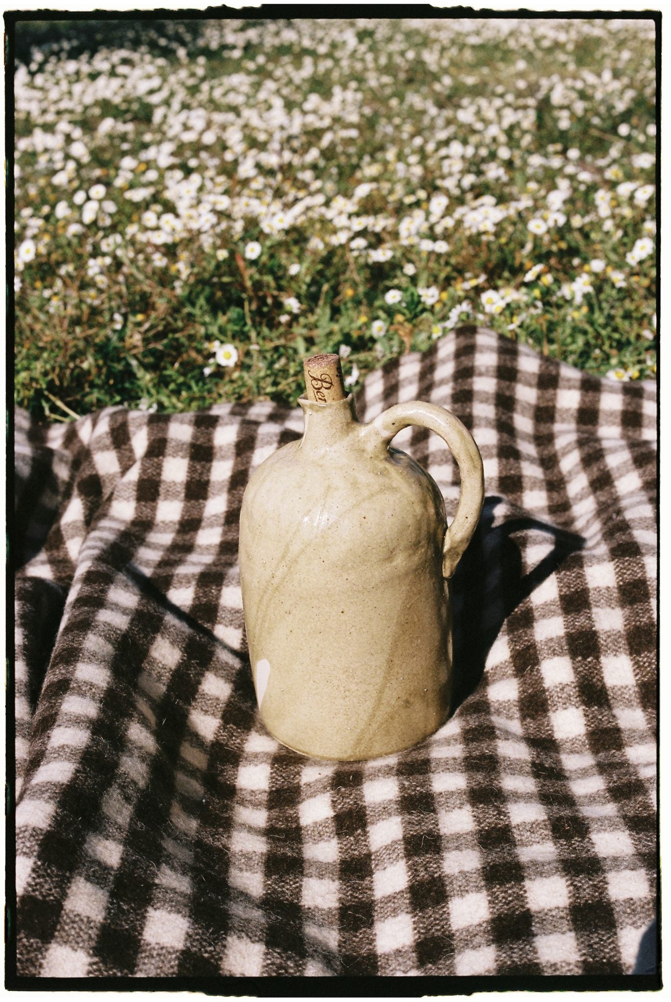 pitxer pitcher