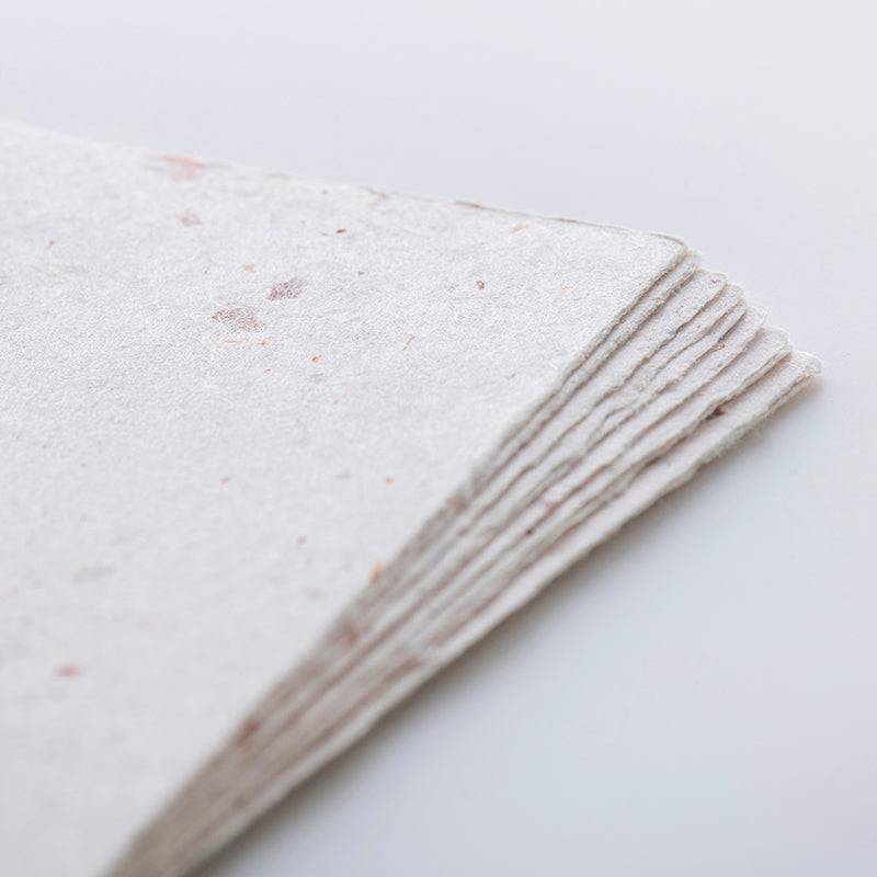 set of 10 handmade postcards with onion skin