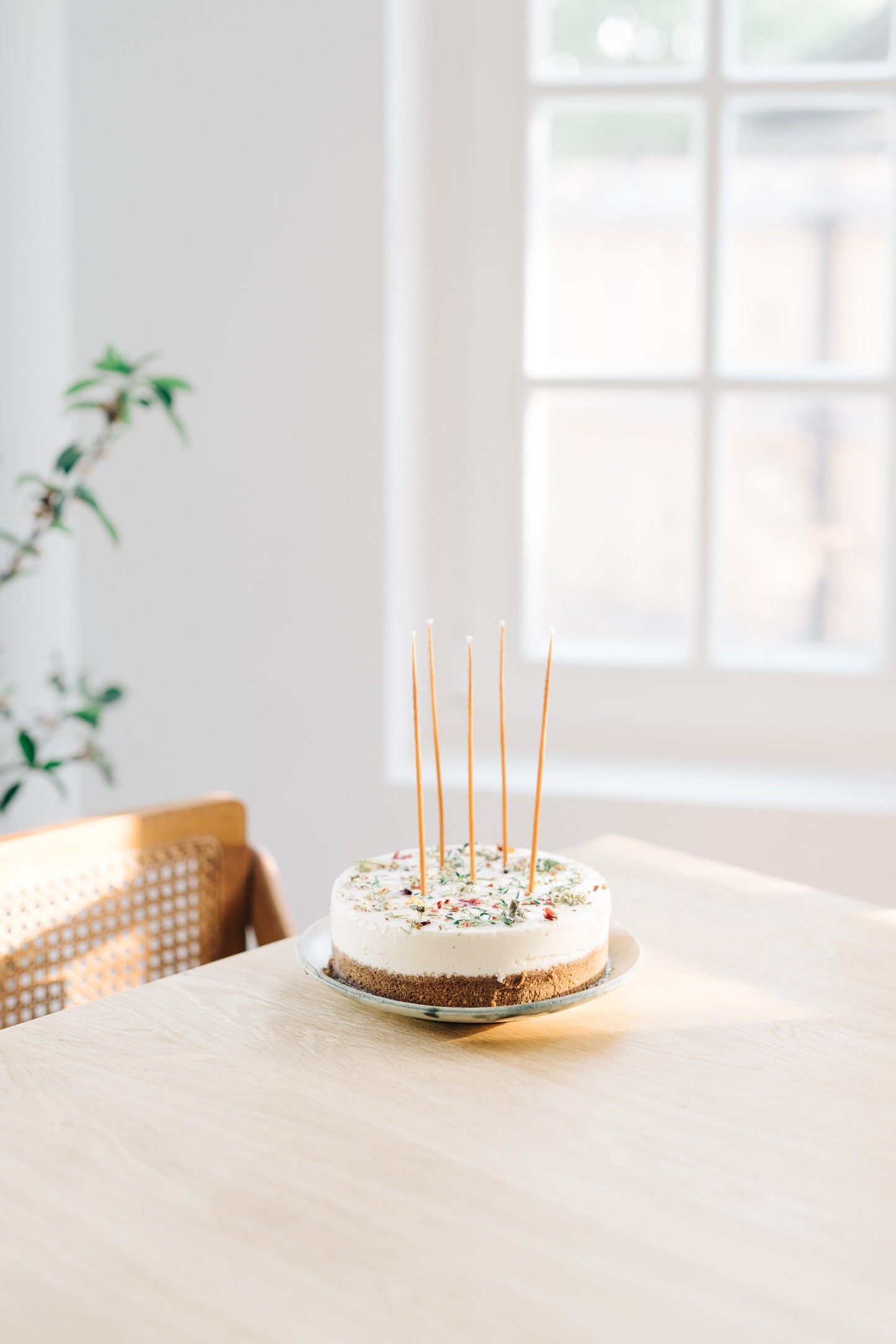 birthday candle set of 2