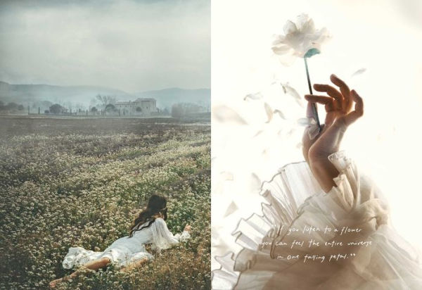 an american in provence: art, life and photography - by jamie beck