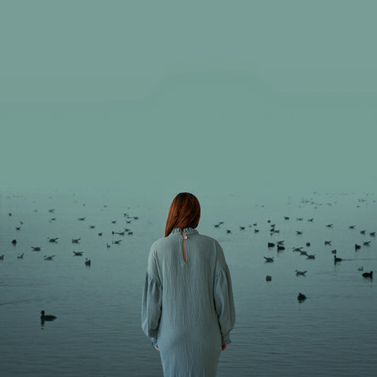 arrival of the birds poster