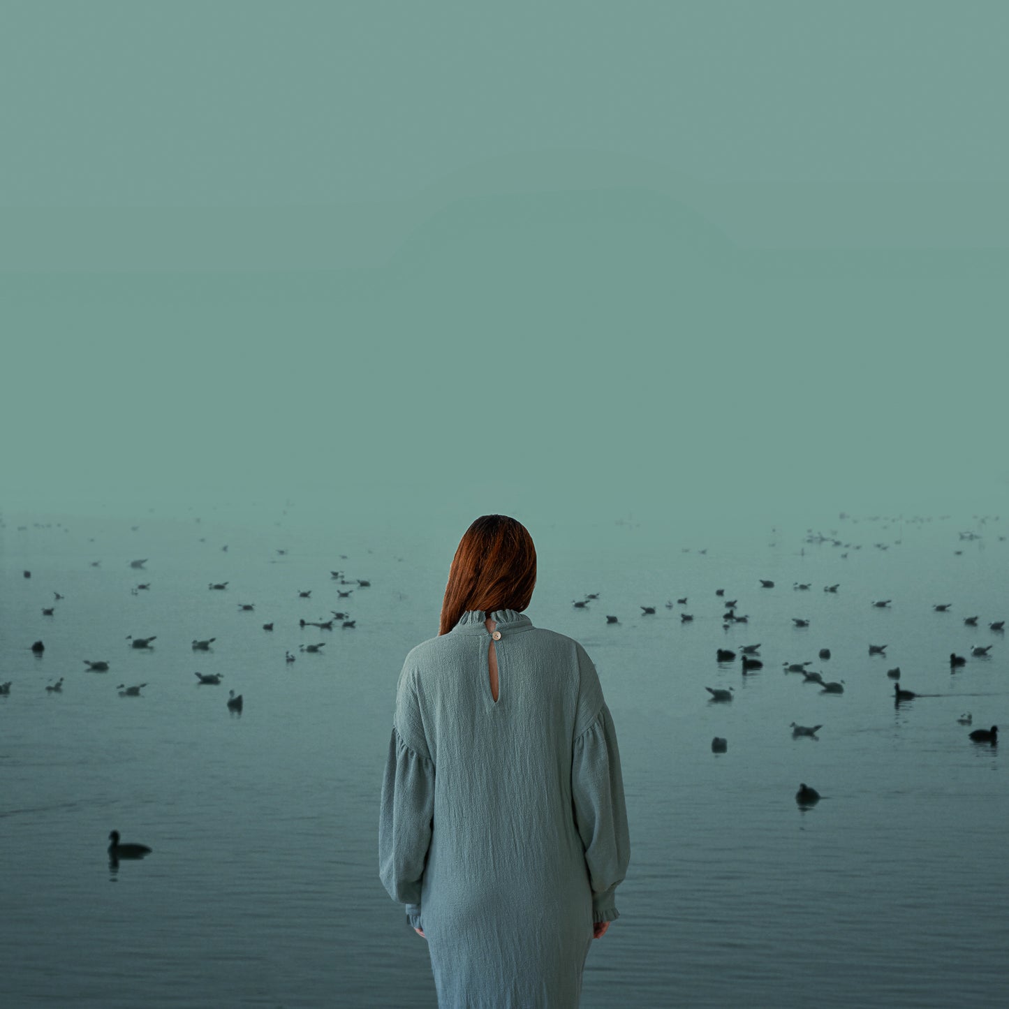 arrival of the birds poster