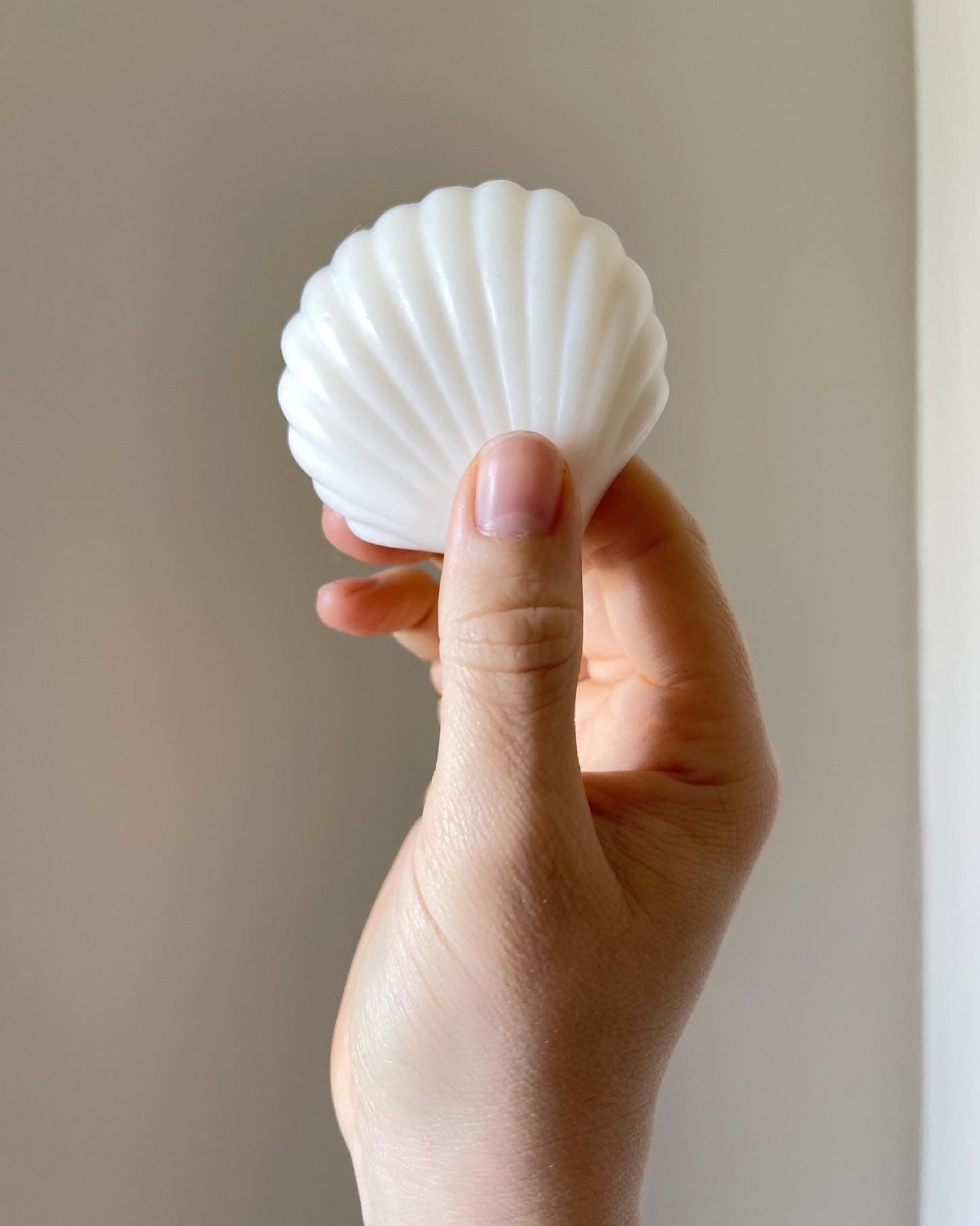 seashell soap