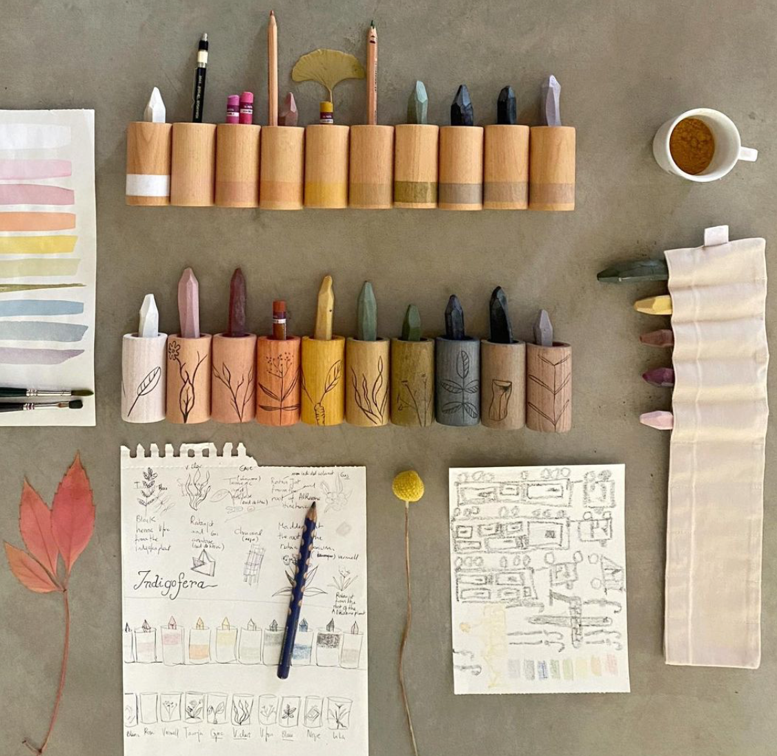 botanical crayons