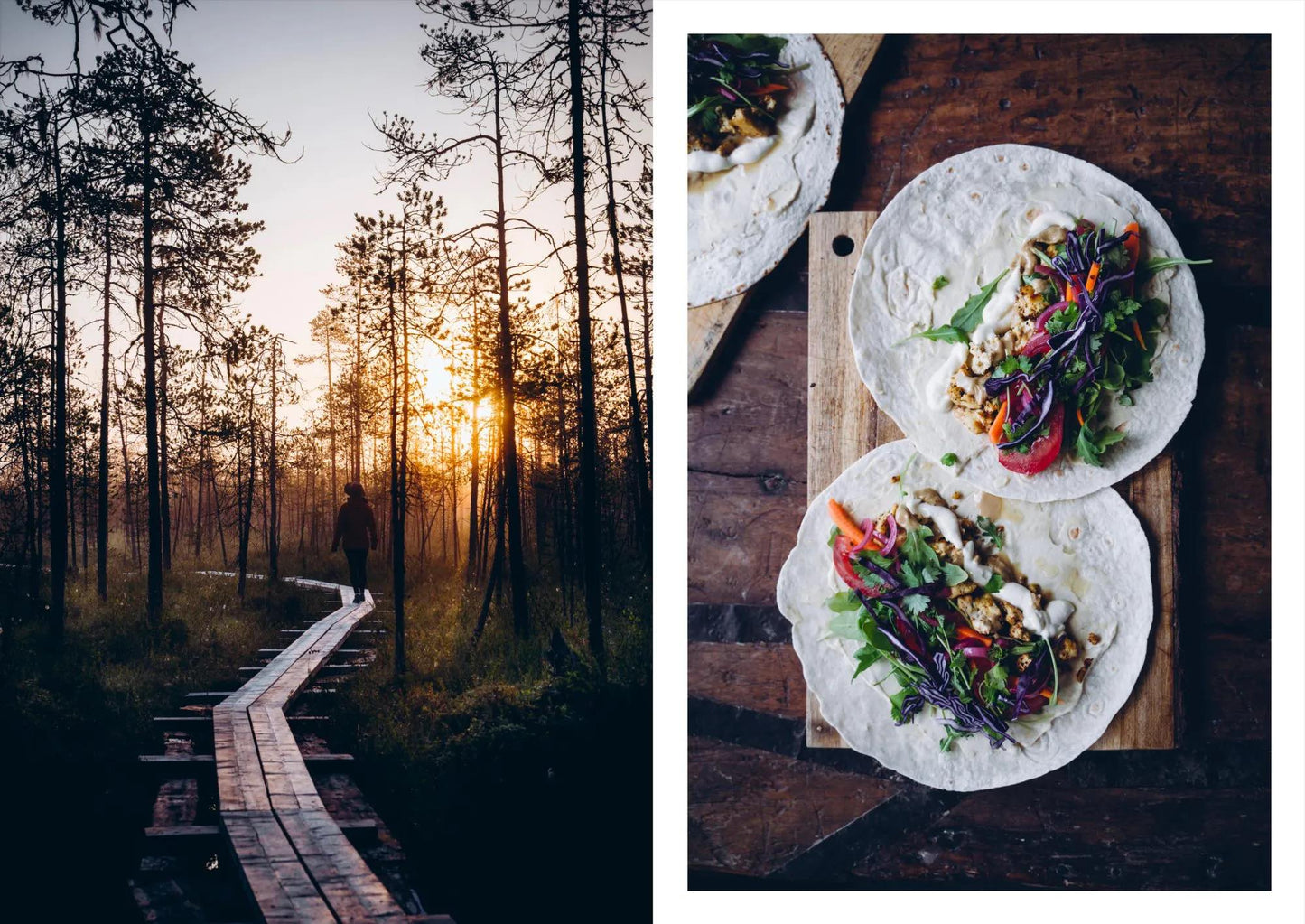 food in the woods - by saara atula