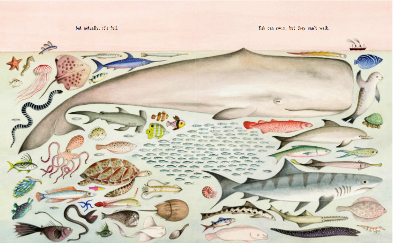 if you come to earth - by sophie blackall