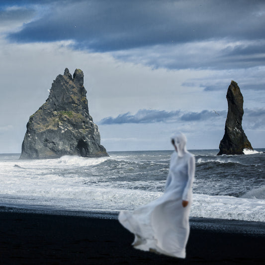 the arctic calls me poster
