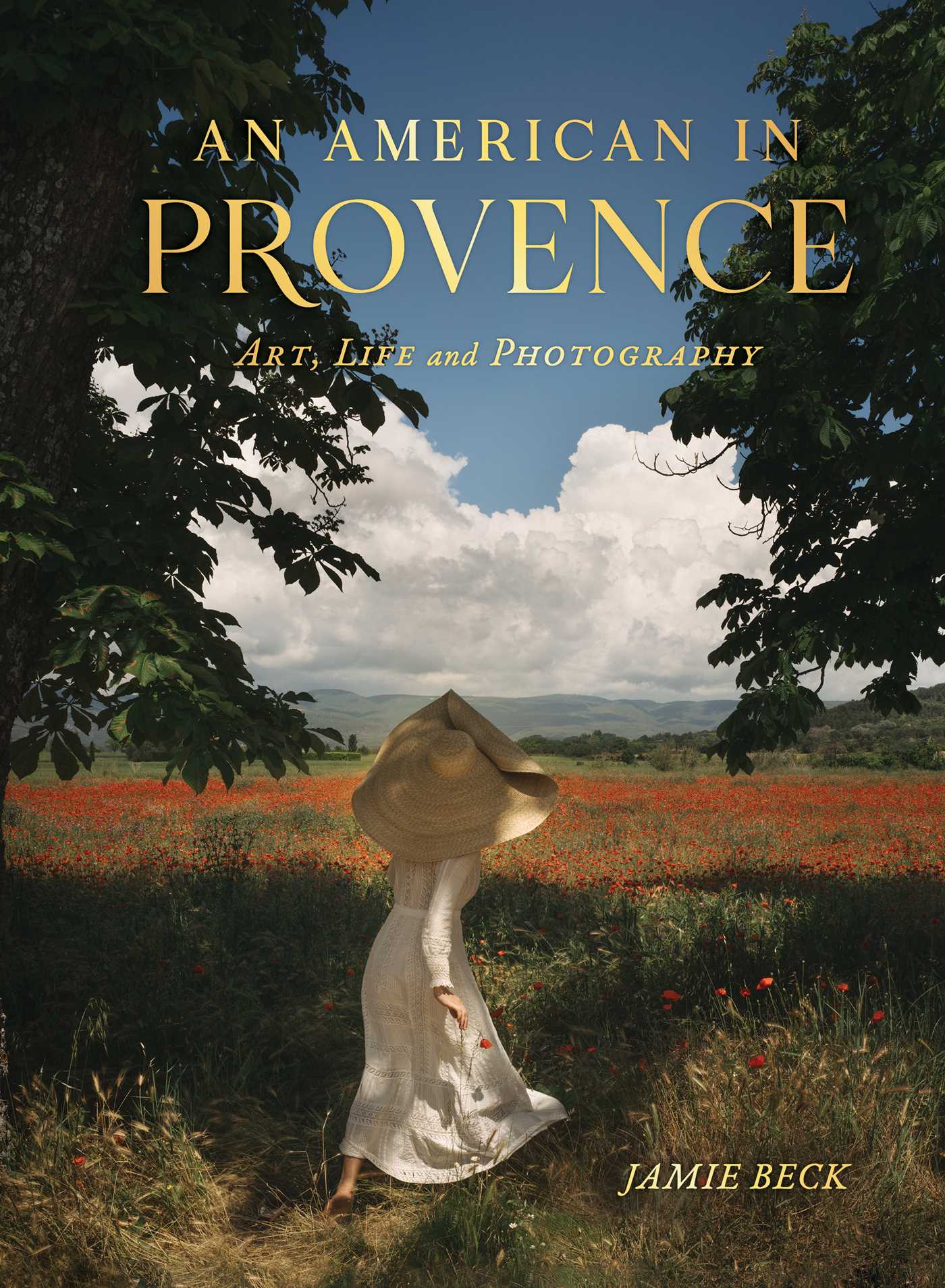 an american in provence: art, life and photography - by jamie beck