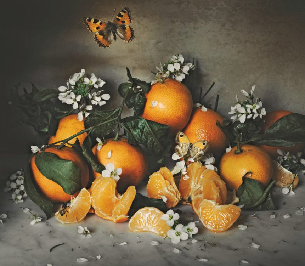 an american in provence: art, life and photography - by jamie beck