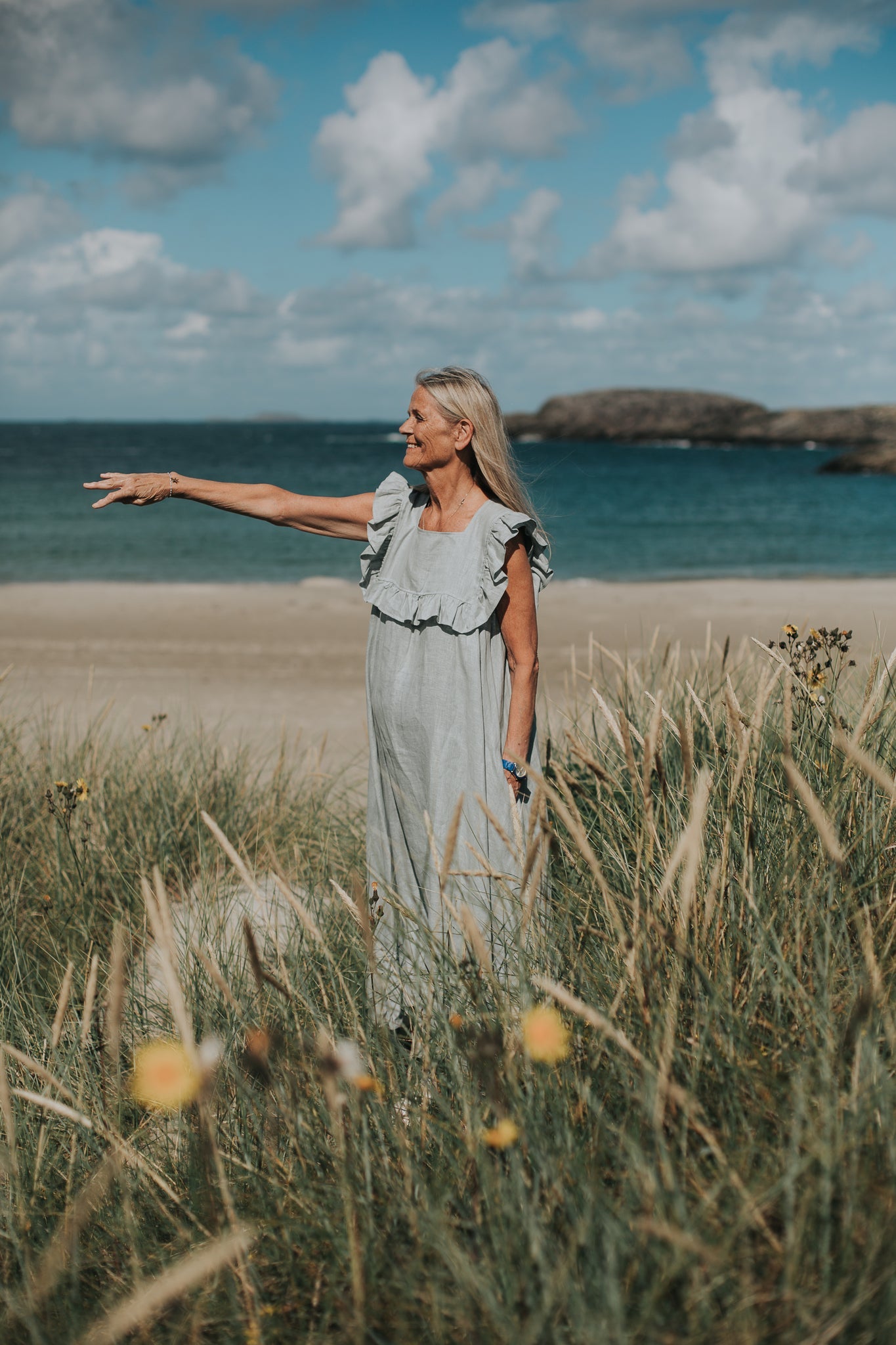rent the blue-grey hydra dress