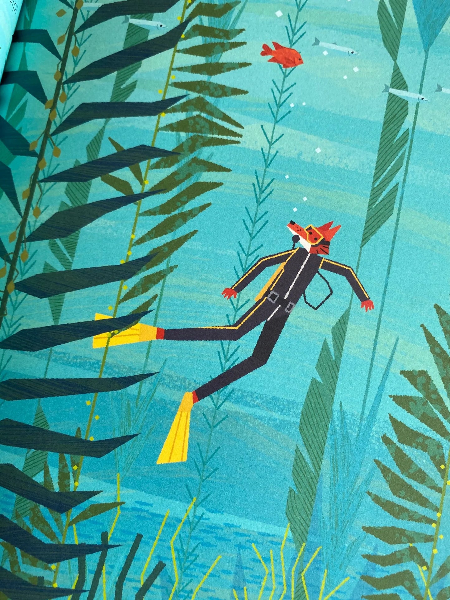 fox and the deep sea quest - by benjamin flouw