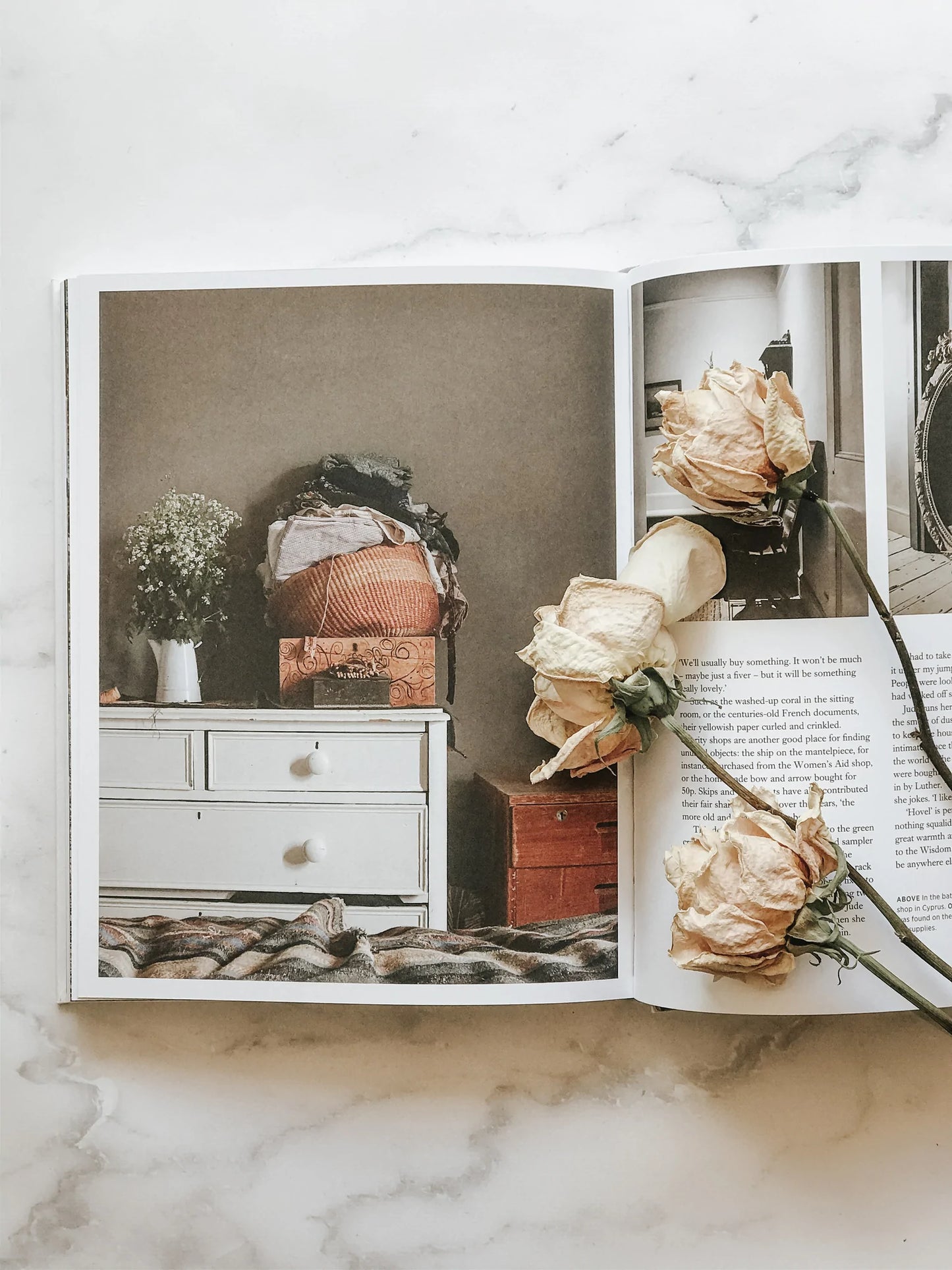 the foraged home - by joanna maclennan & oliver maclennan