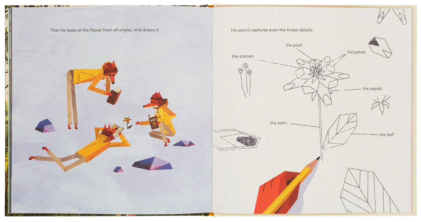 the mystery of the golden wonderflower - by benjamin flouw