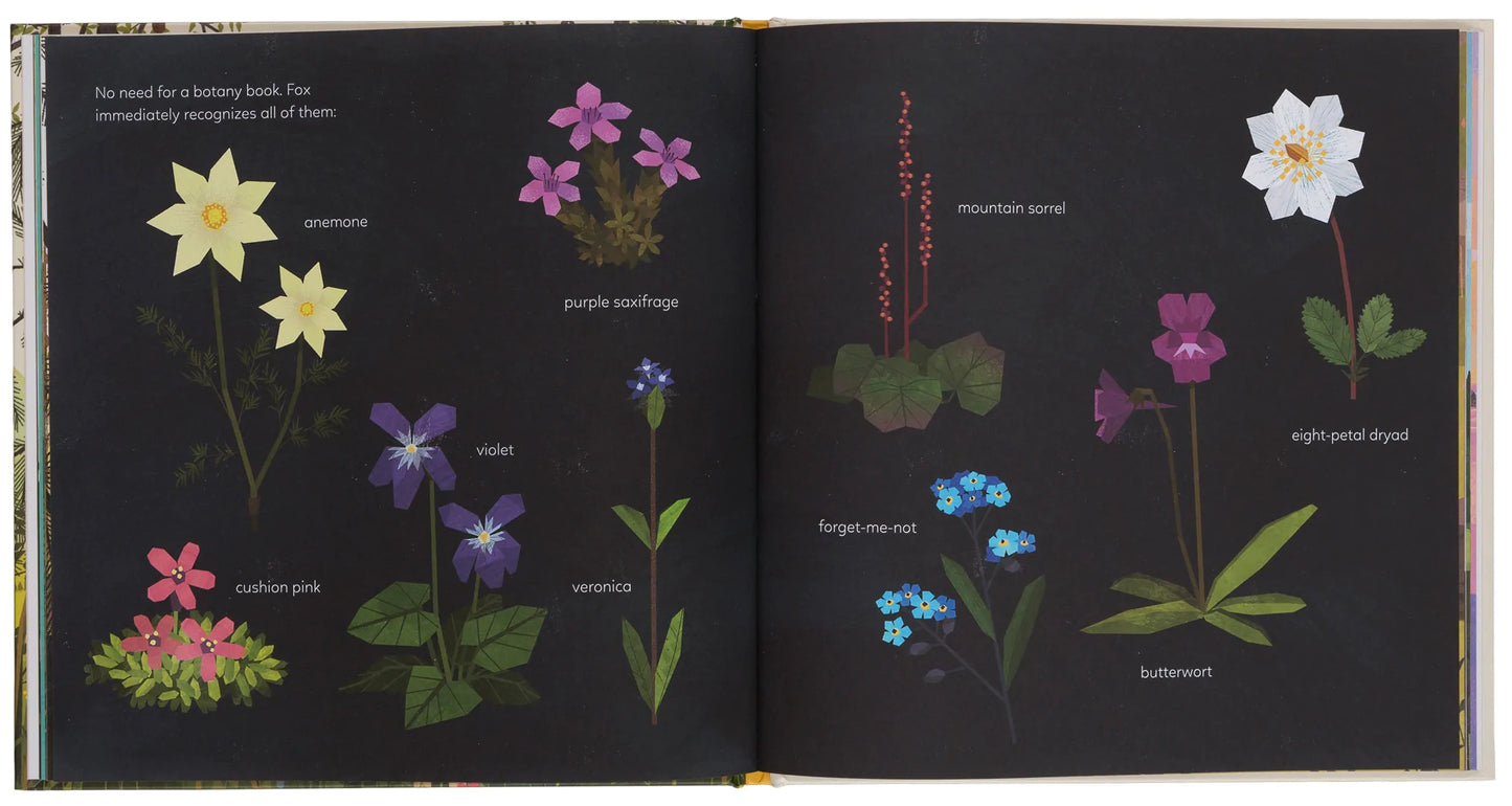 the mystery of the golden wonderflower - by benjamin flouw