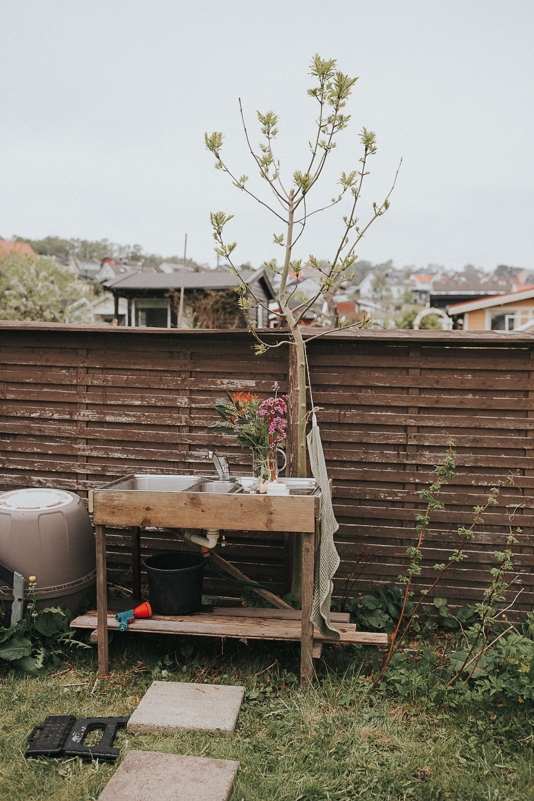 seed planting workshop with Martine