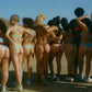 pansy thong - various colors