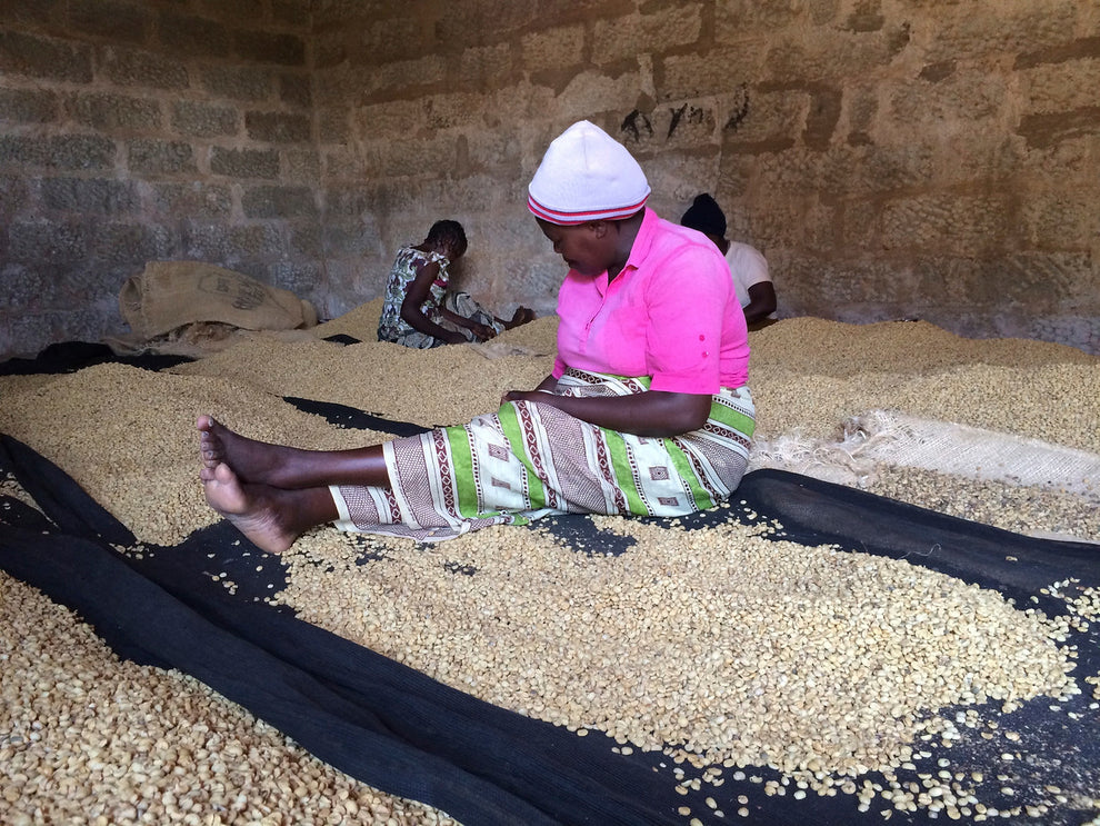 ab gikirima - kenya - washed