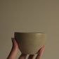 zen cup nr.5