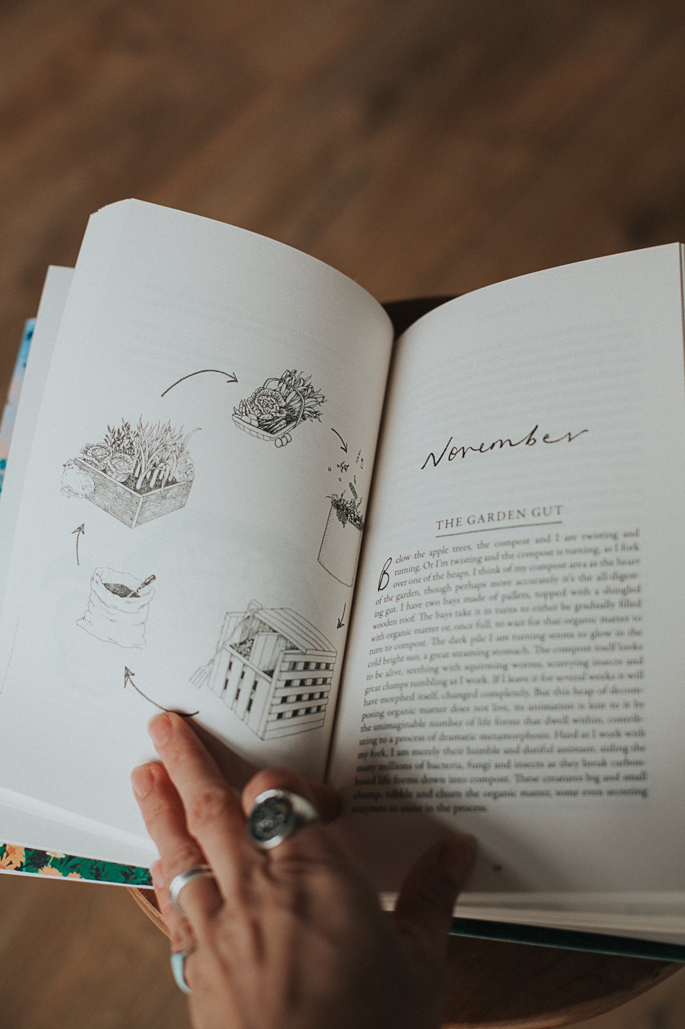 a wilder way: how gardens grow us - by poppy okotcha