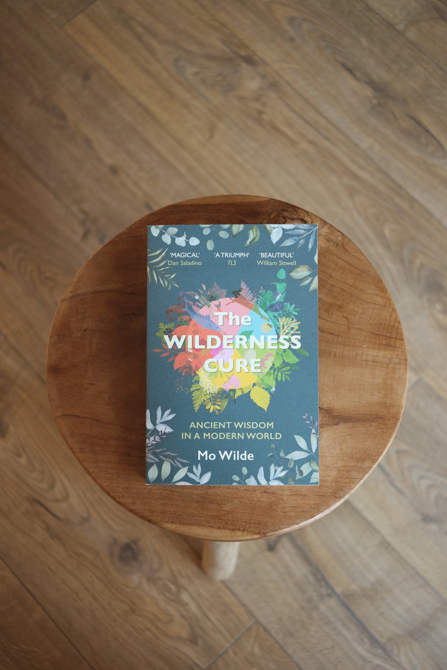 the wilderness cure - by mo wilde