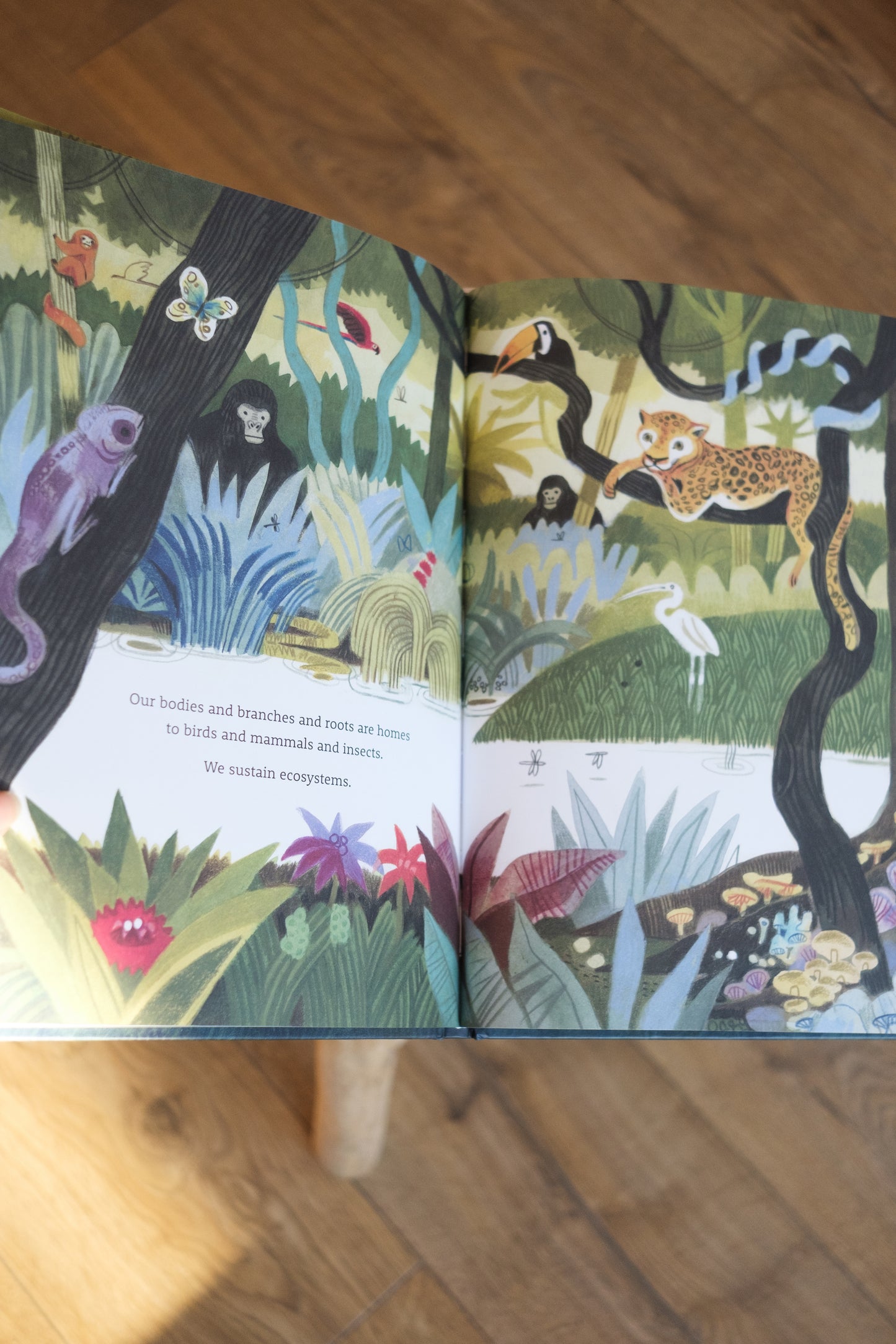 be a tree! - by maria gianferrari