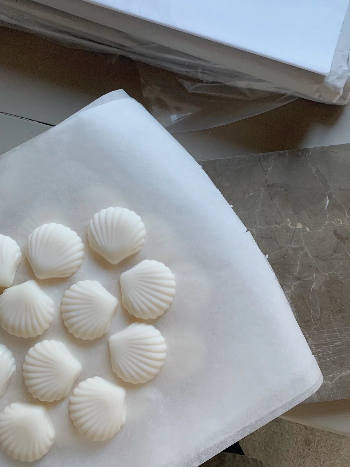 neutral unscented seashell soap bar