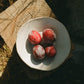 v14 coffee plate
