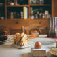 cruet egg holder