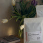 magarrisa uraga - ethiopia - washed