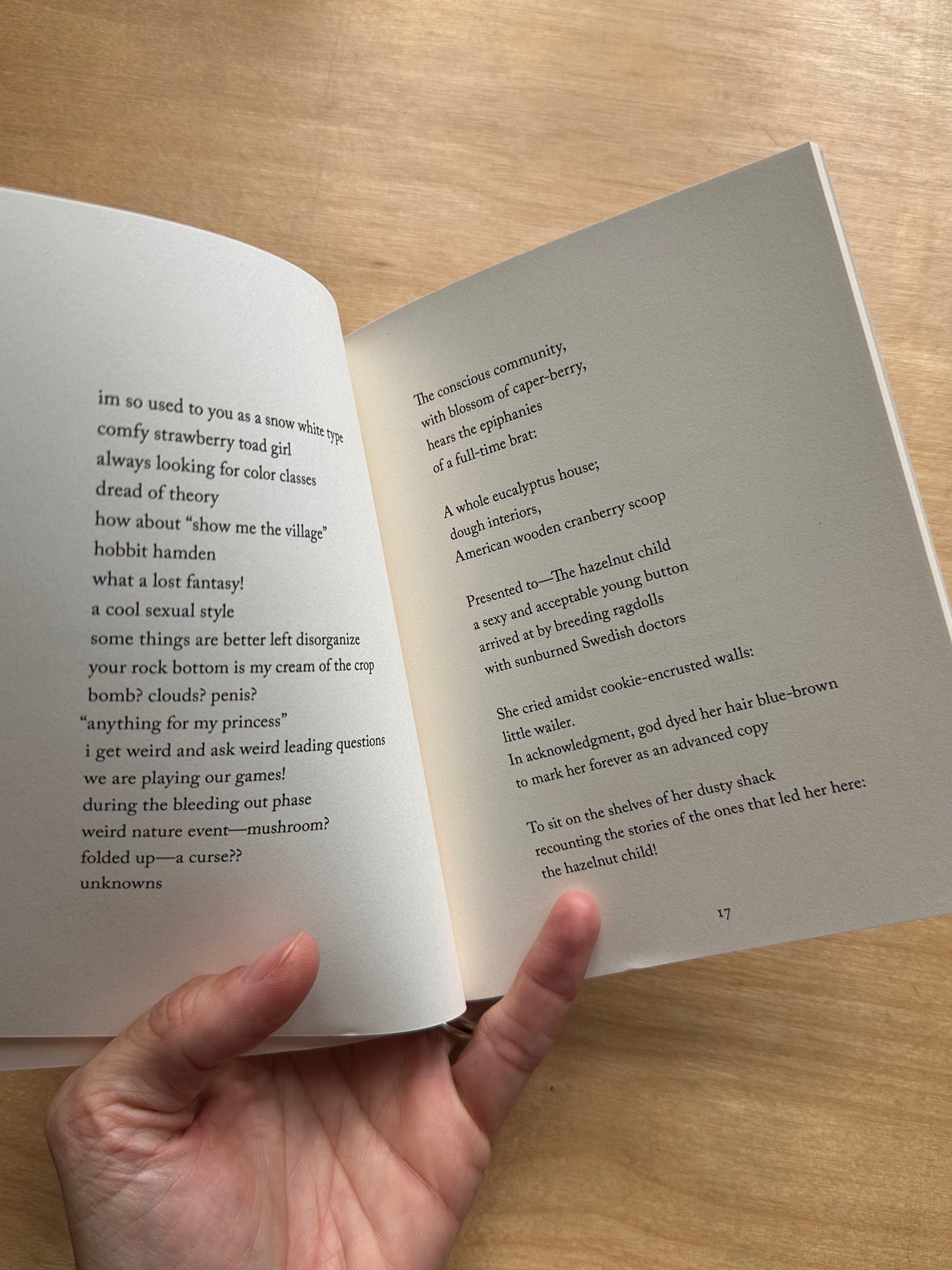 fioretti: poems - by rachel corry