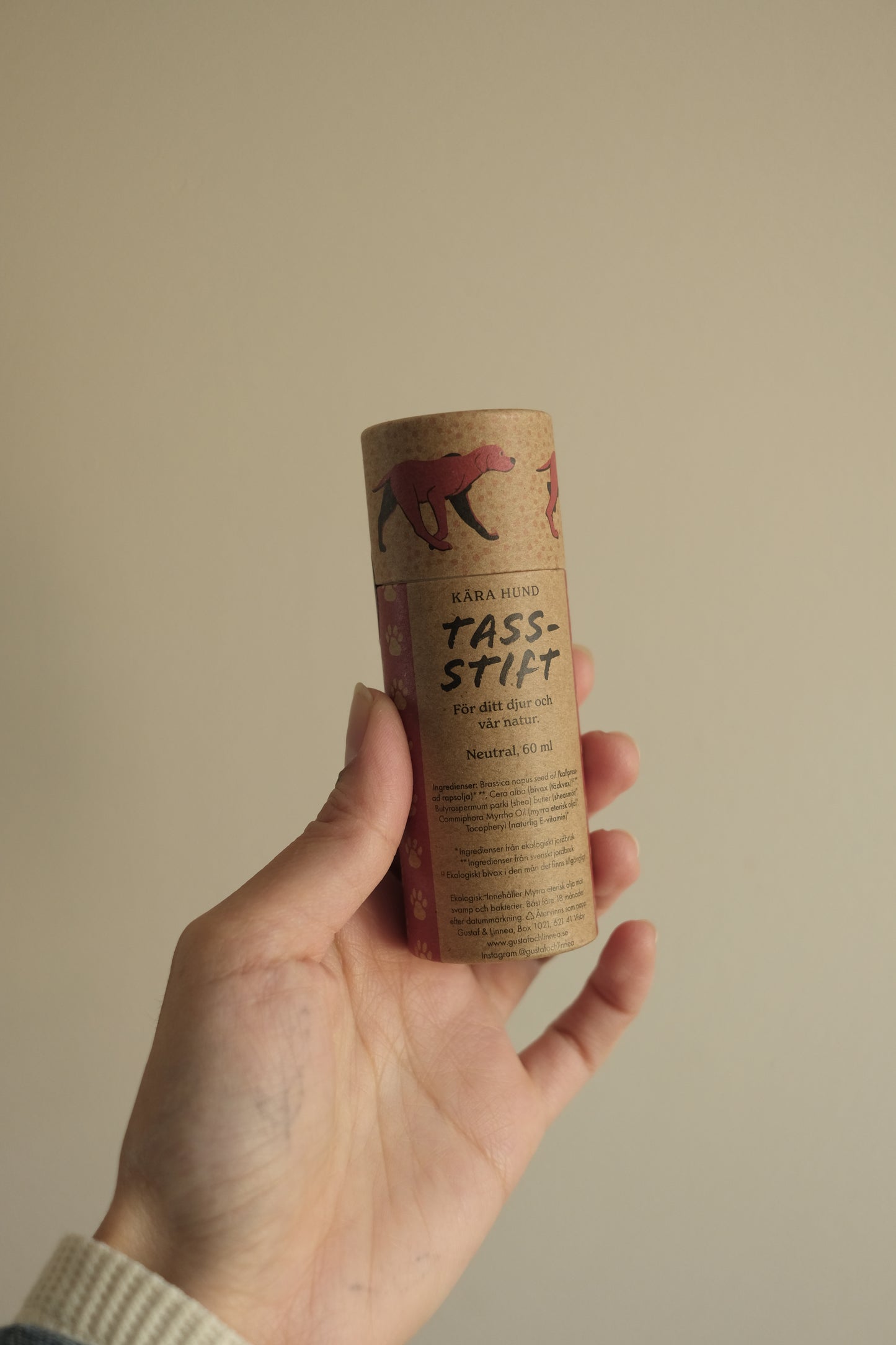 paw stick for your best pet friend