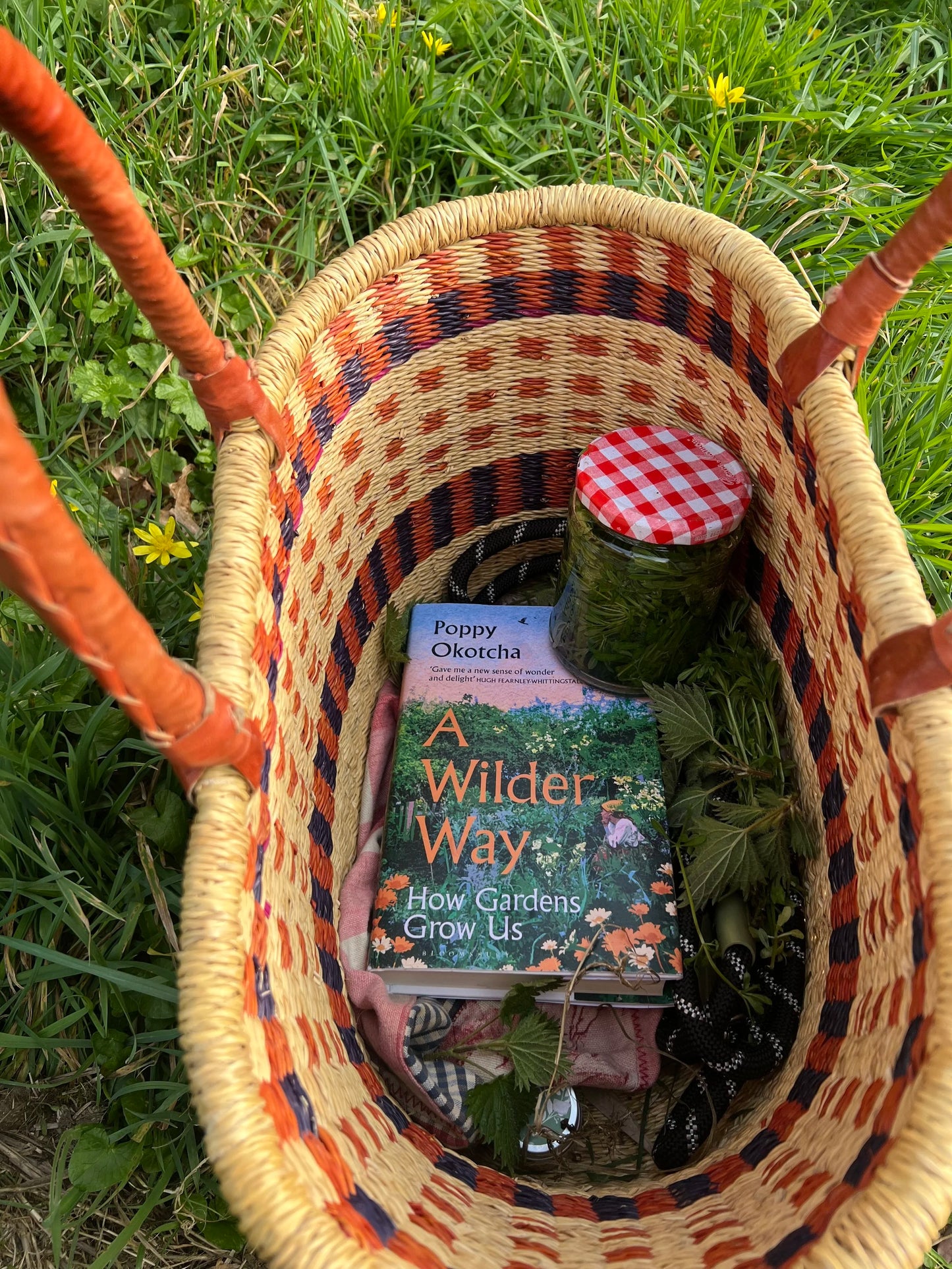 a wilder way: how gardens grow us - by poppy okotcha