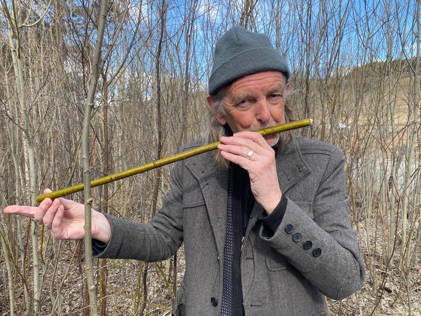 ticket - norwegian folk music for harp and willow flute