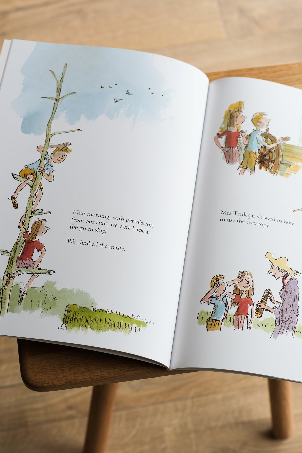 the green ship - by quentin blake