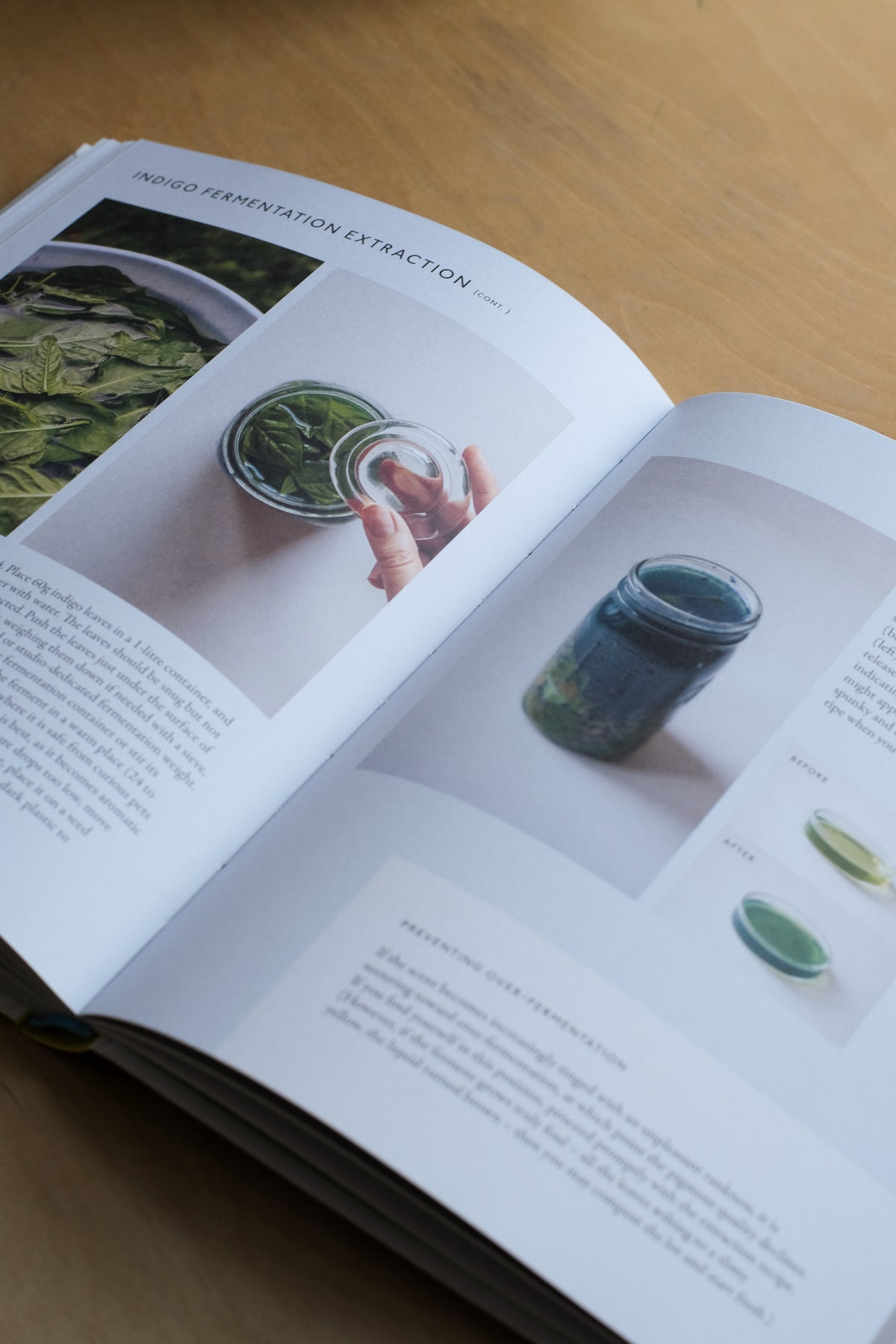 from plant to pigment: how to make your own vibrant inks, pastels and paints - by natalie stopka